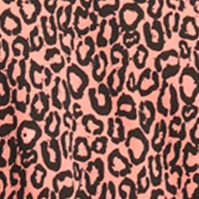 Shell Pink