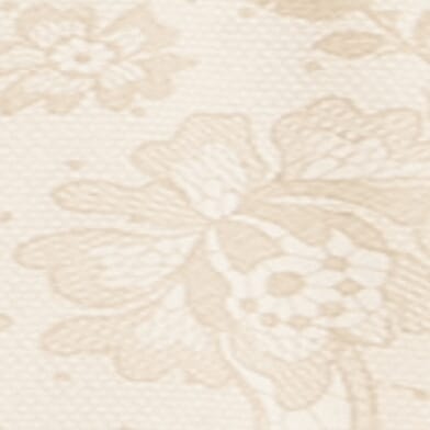 Saved Lace Hooded Sweatshirt thumbnail 5