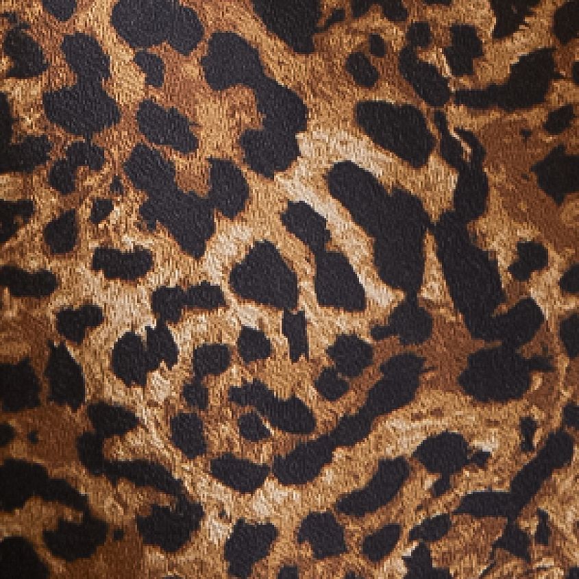 ジャケット・アウター Cheetah Open SZN Cheetah Trench Jacket - Women's Coats & Jackets in
