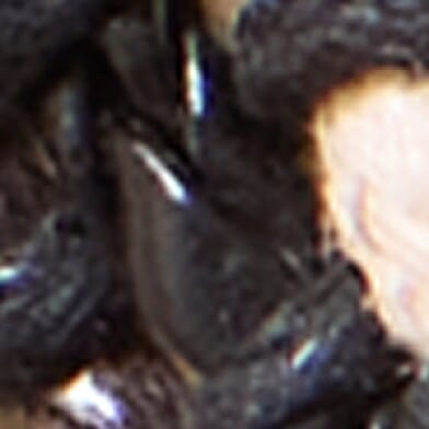 Black Brown