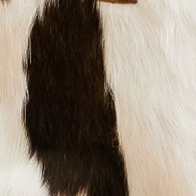 Cowhide