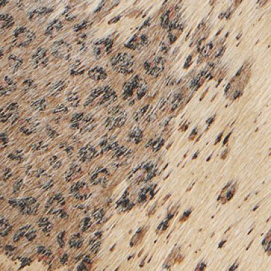 Cowhide