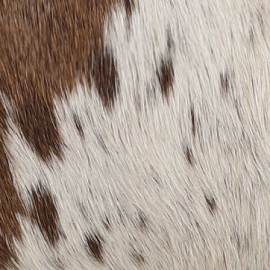 Cowhide