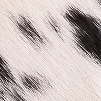 Cowhide