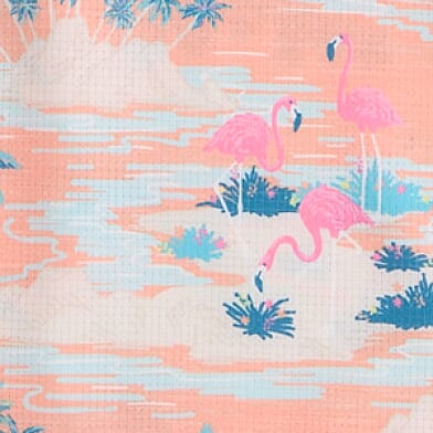 Coral