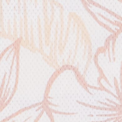 Tan Hibiscus