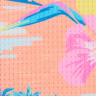 Coral