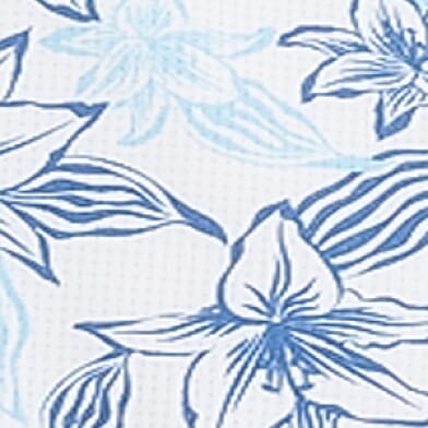 White Blue
