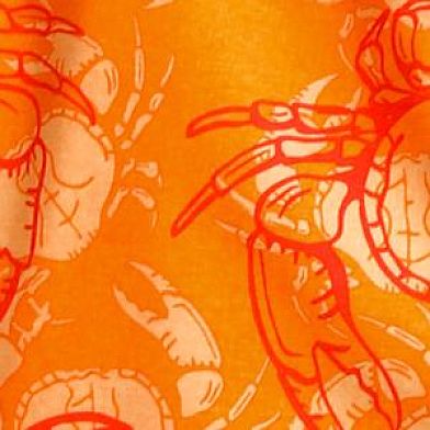 Bright Citrus Orange