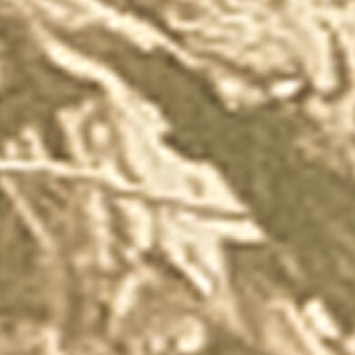Double Knee Camo Denim Short thumbnail 7