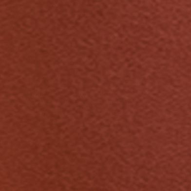 Cinnamon Spice
