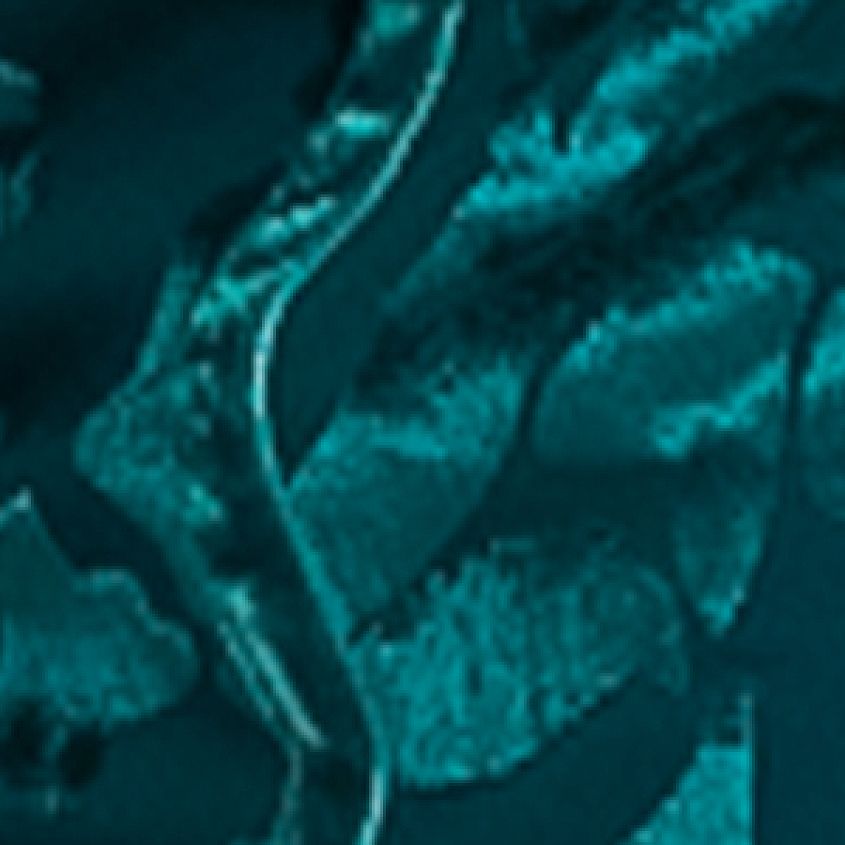 Deep Teal