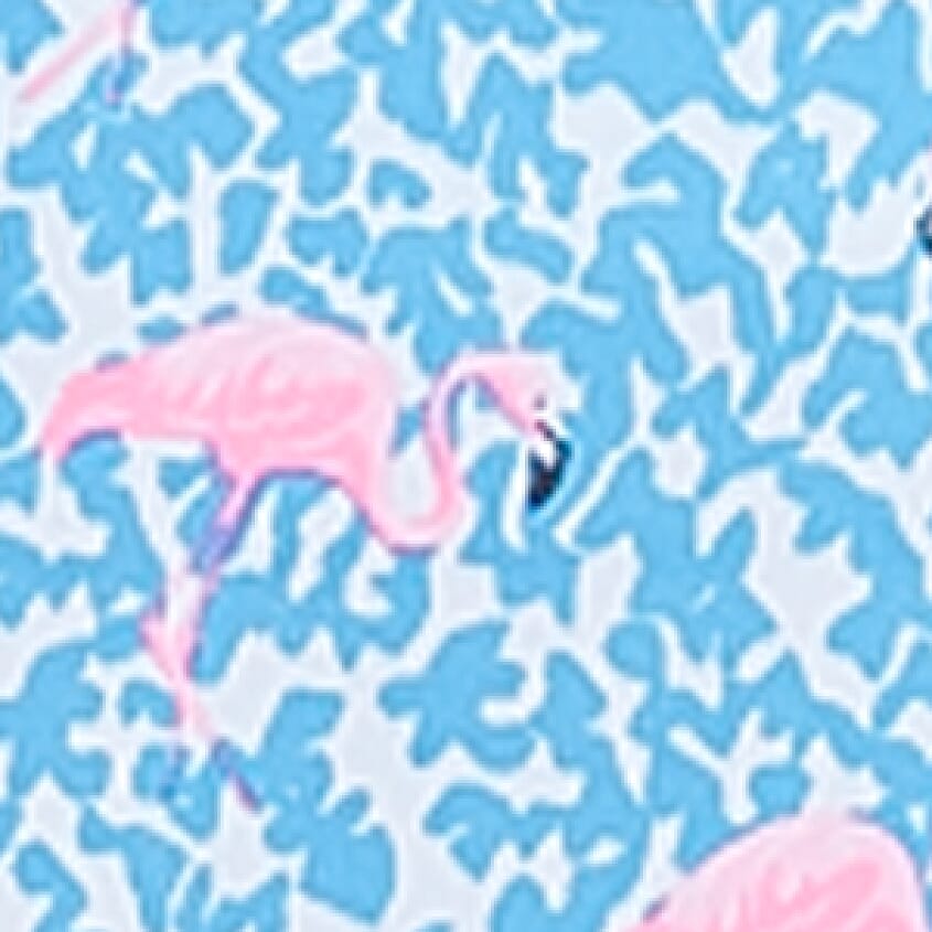 Bright Blue Solid