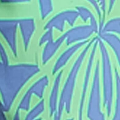The Frond Farewell Stretch Swim Trunks thumbnail 7