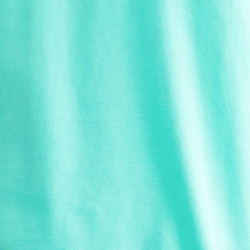 Mint Solid