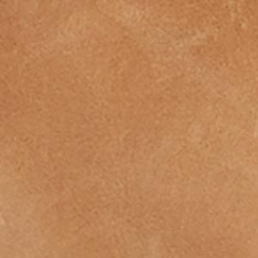 Camel Brown