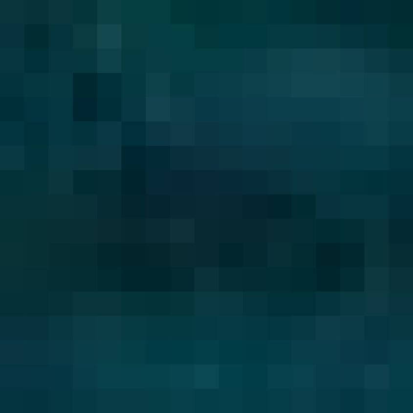 Blue Forest Multi