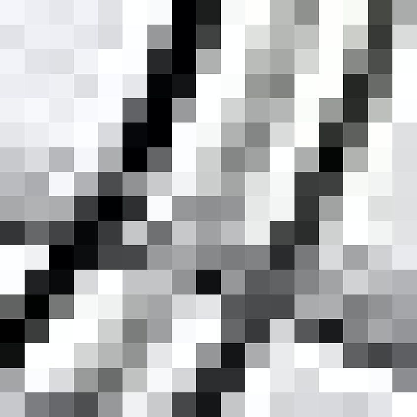 White Grey