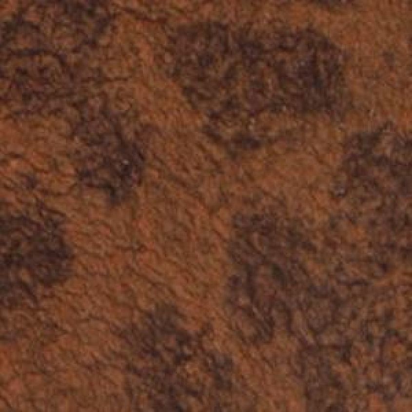LD Dis Brown Cheetah
