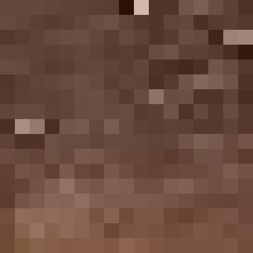 Distressed Brown