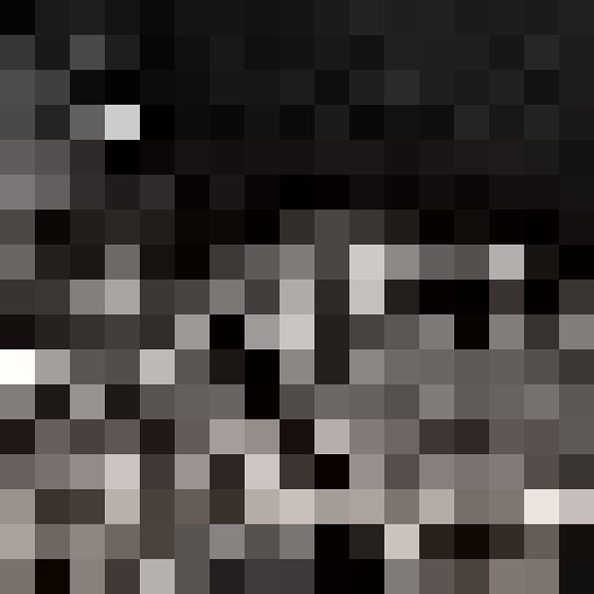 Black Cream Alligator