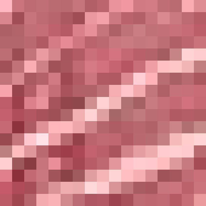 Dusty Rose