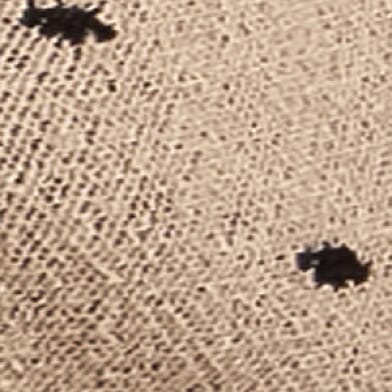 Polka Dot Cardigan Sweater thumbnail 5