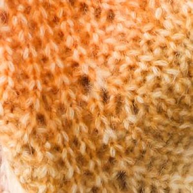 Orange Multi
