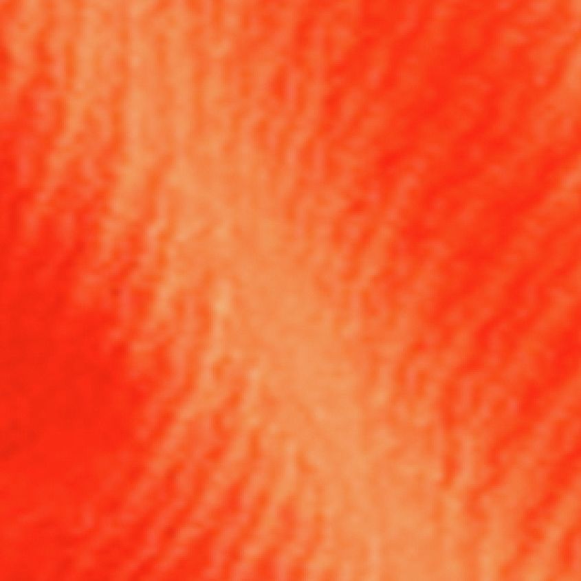 Spicy Orange