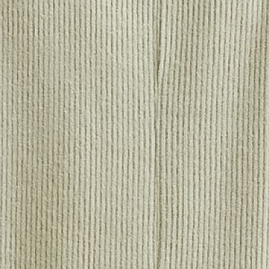 Seagrass