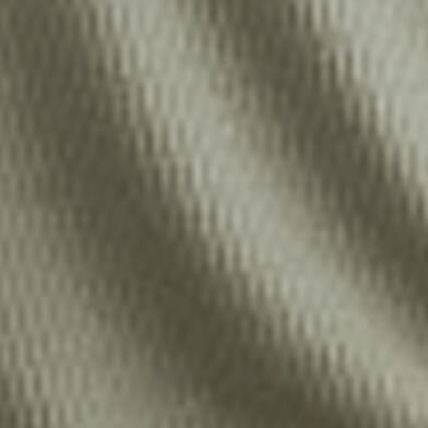 Agave Green