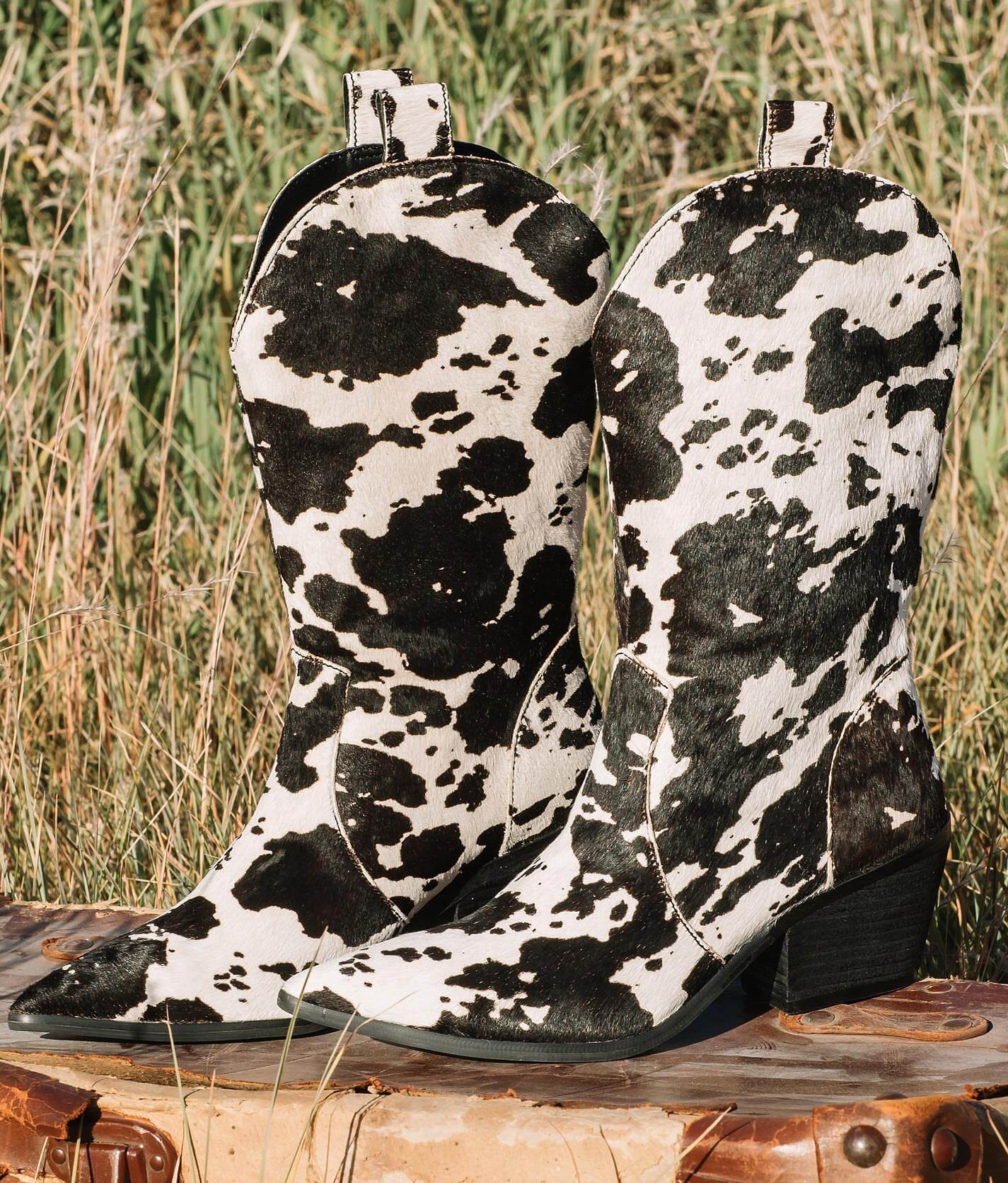 dingo cow print boots