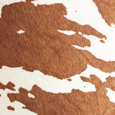 Brown Cow