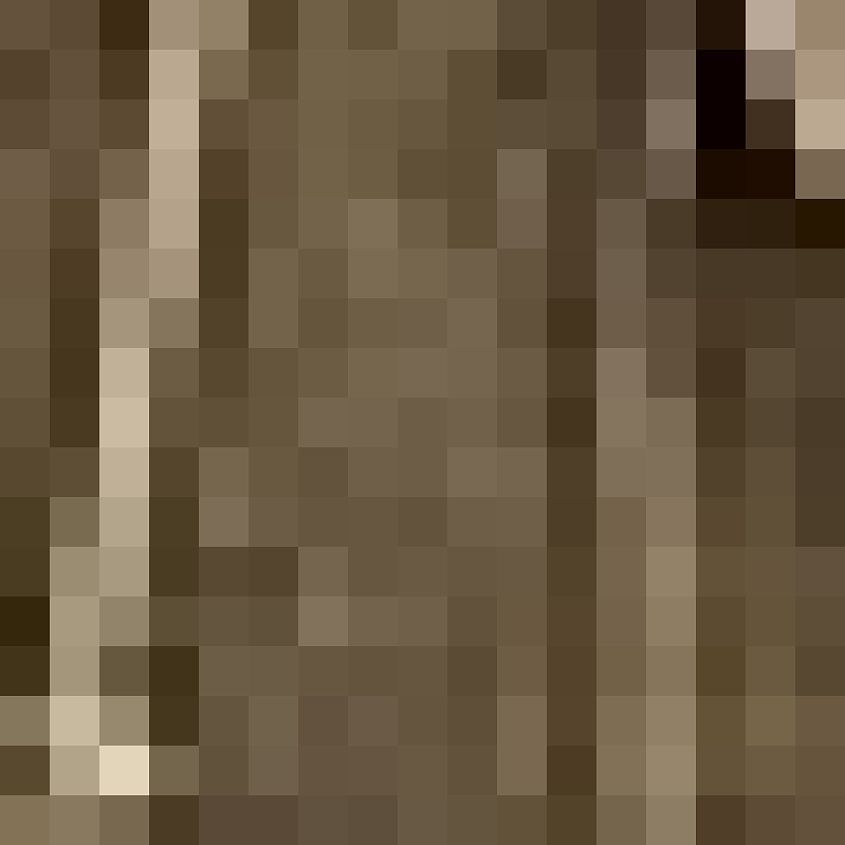 Tan