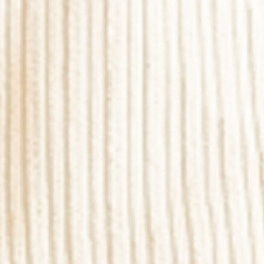 Oyster Gray