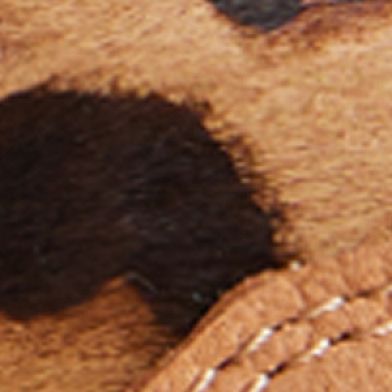 Dk Leopard