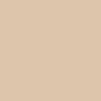 Camel Suede