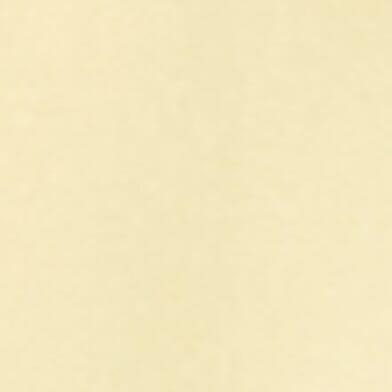 Creamy Yellow