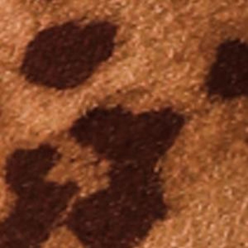 Tan Leopard