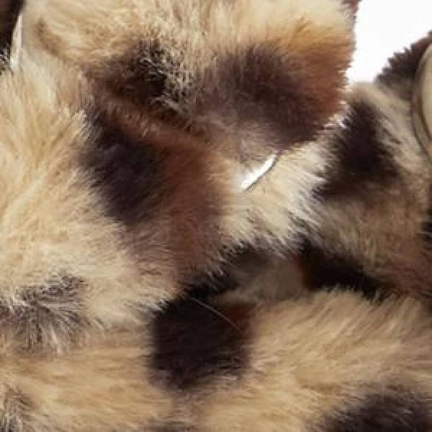 Beige Leopard