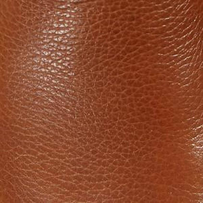 Chestnut