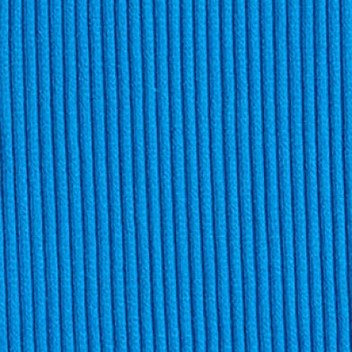 Blue Aster