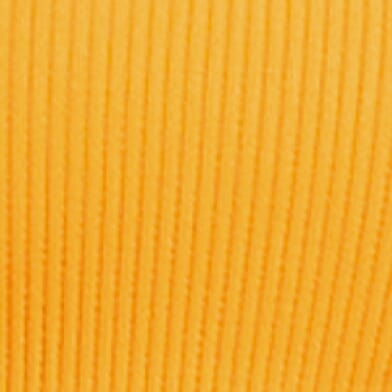 Blazing Orange