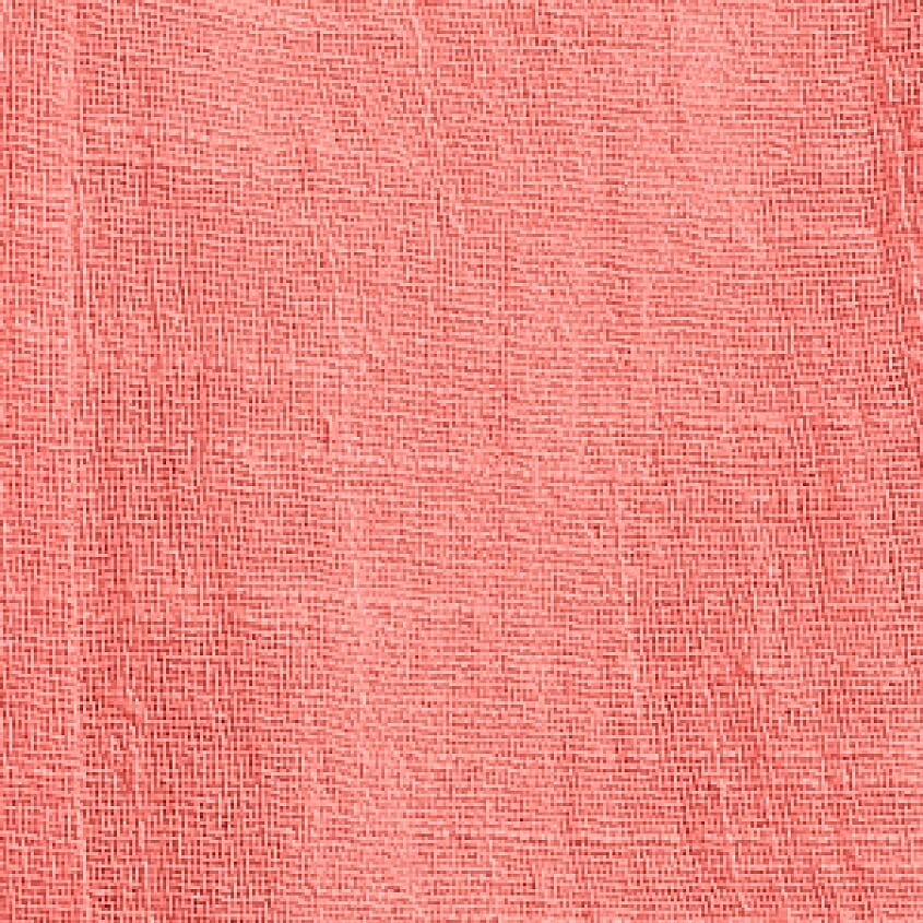 Spiced Coral