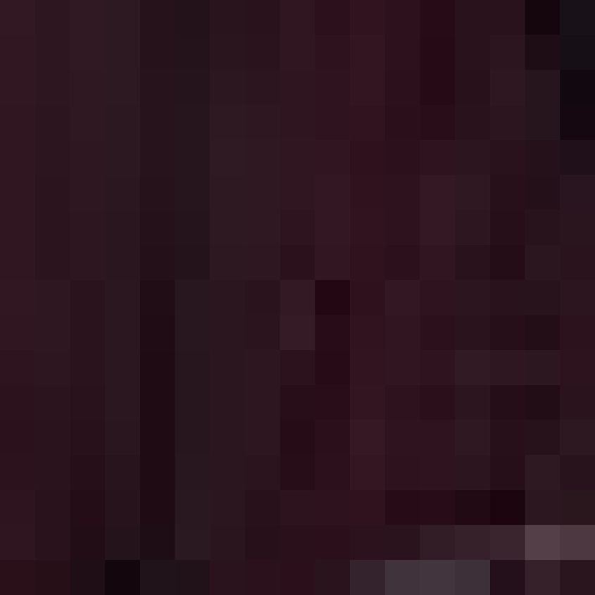 Phantom Merlot