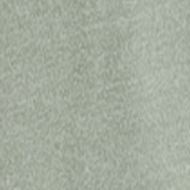Sage Leaf