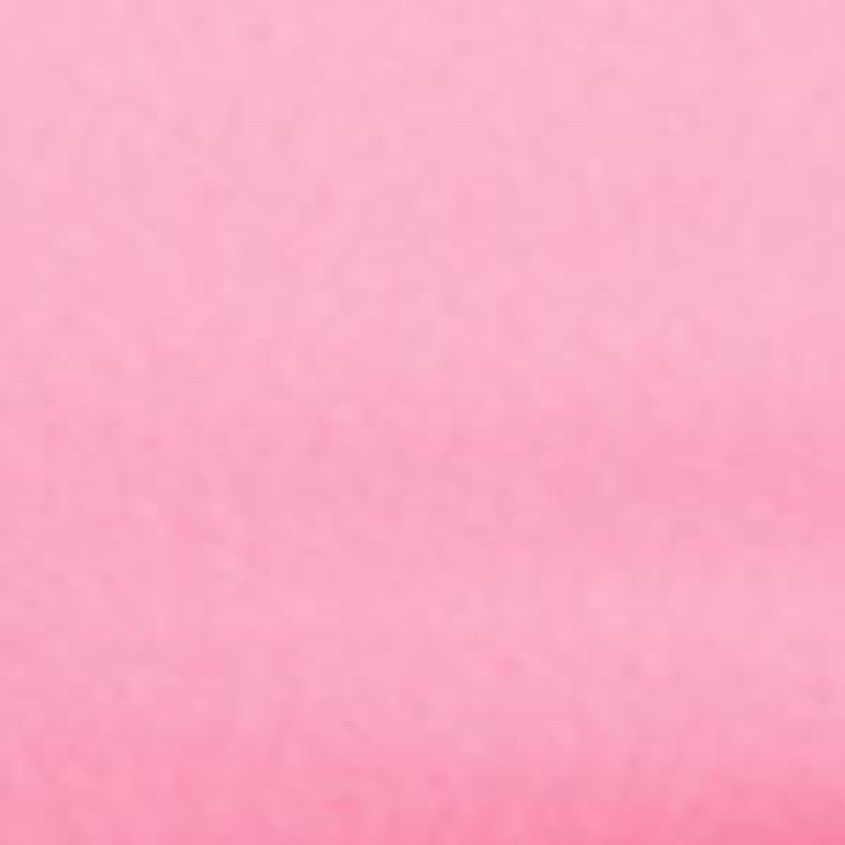 Pink Cosmos