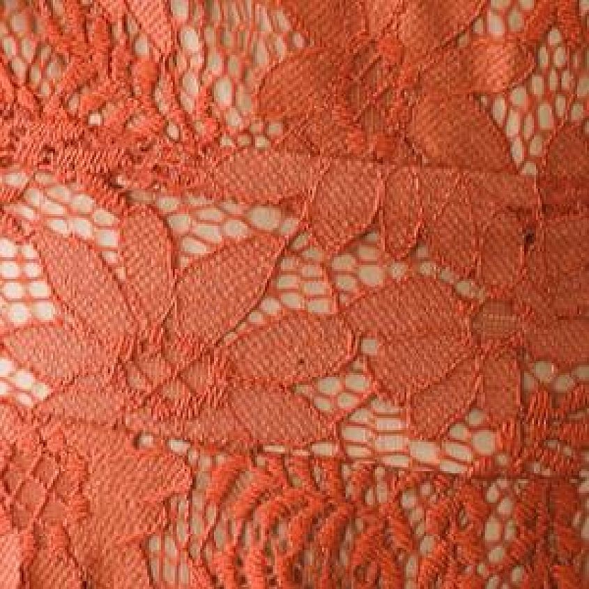 Willow & Root All Over Lace Dress - Women's Dresses in Clay Nude | Buckle