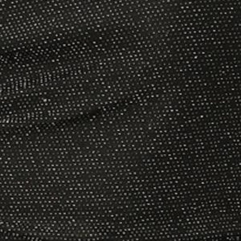 Black Silver