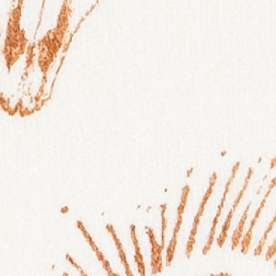 Cream Brown